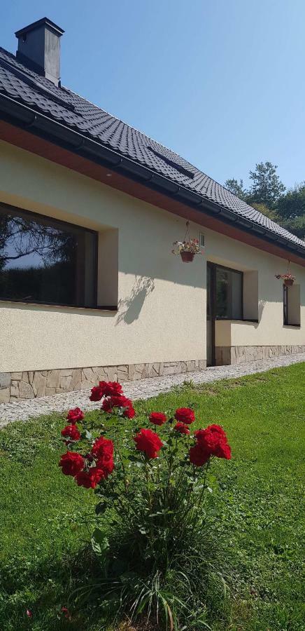 Powroznik 94 Apartamento Muszyna Exterior foto